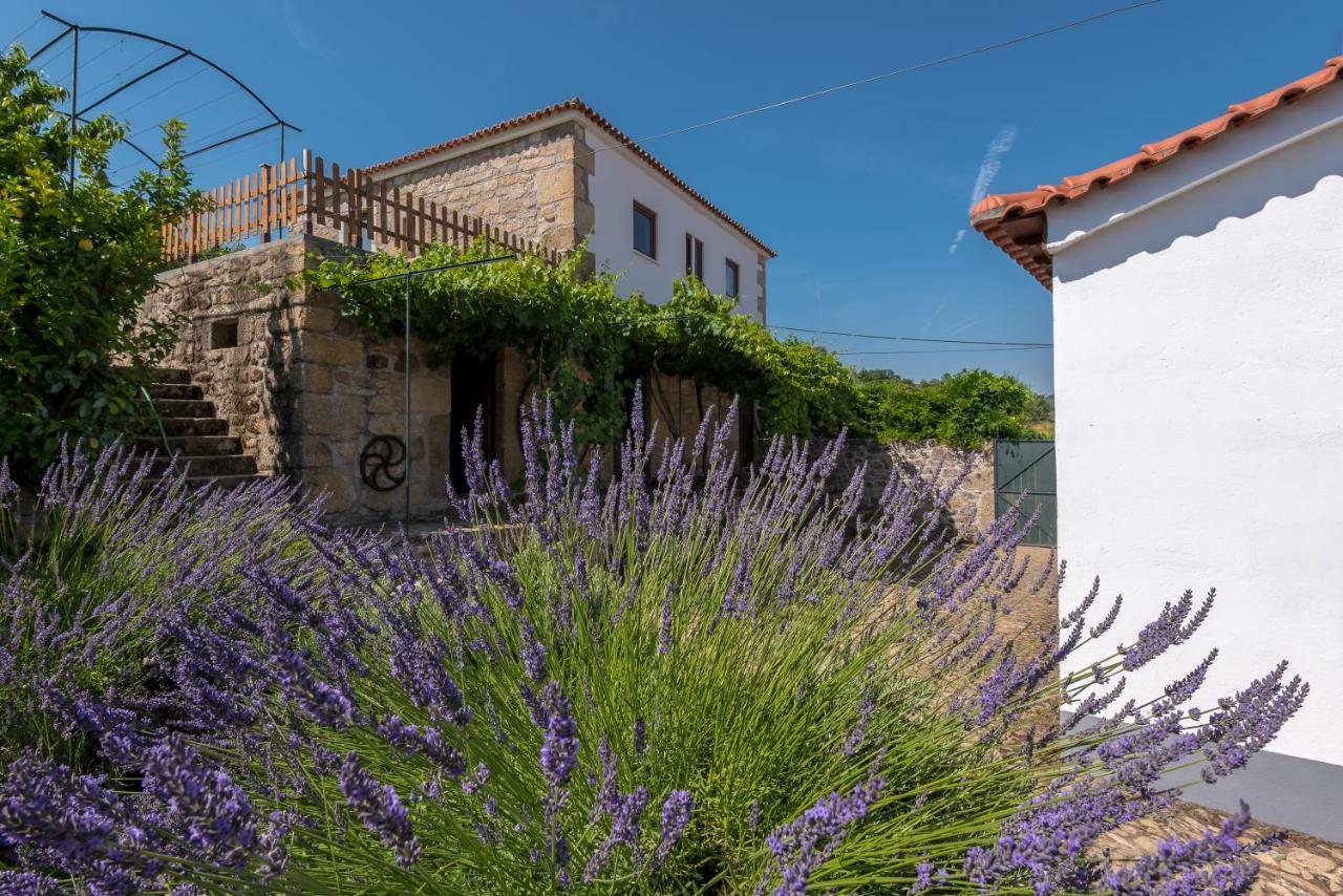 Quinta Do Acipreste  Lamego Esterno foto