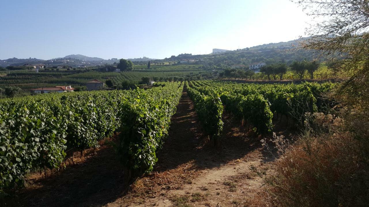 Quinta Do Acipreste  Lamego Esterno foto