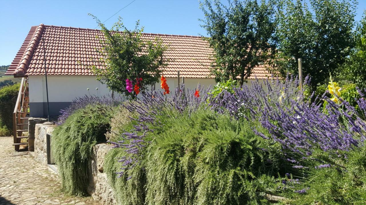 Quinta Do Acipreste  Lamego Esterno foto