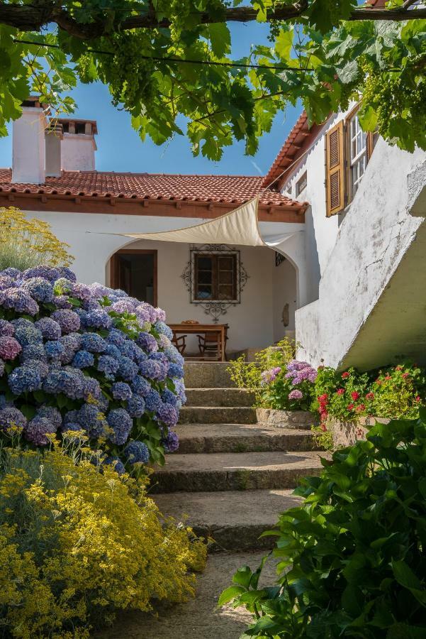 Quinta Do Acipreste  Lamego Esterno foto