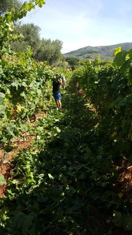 Quinta Do Acipreste  Lamego Esterno foto