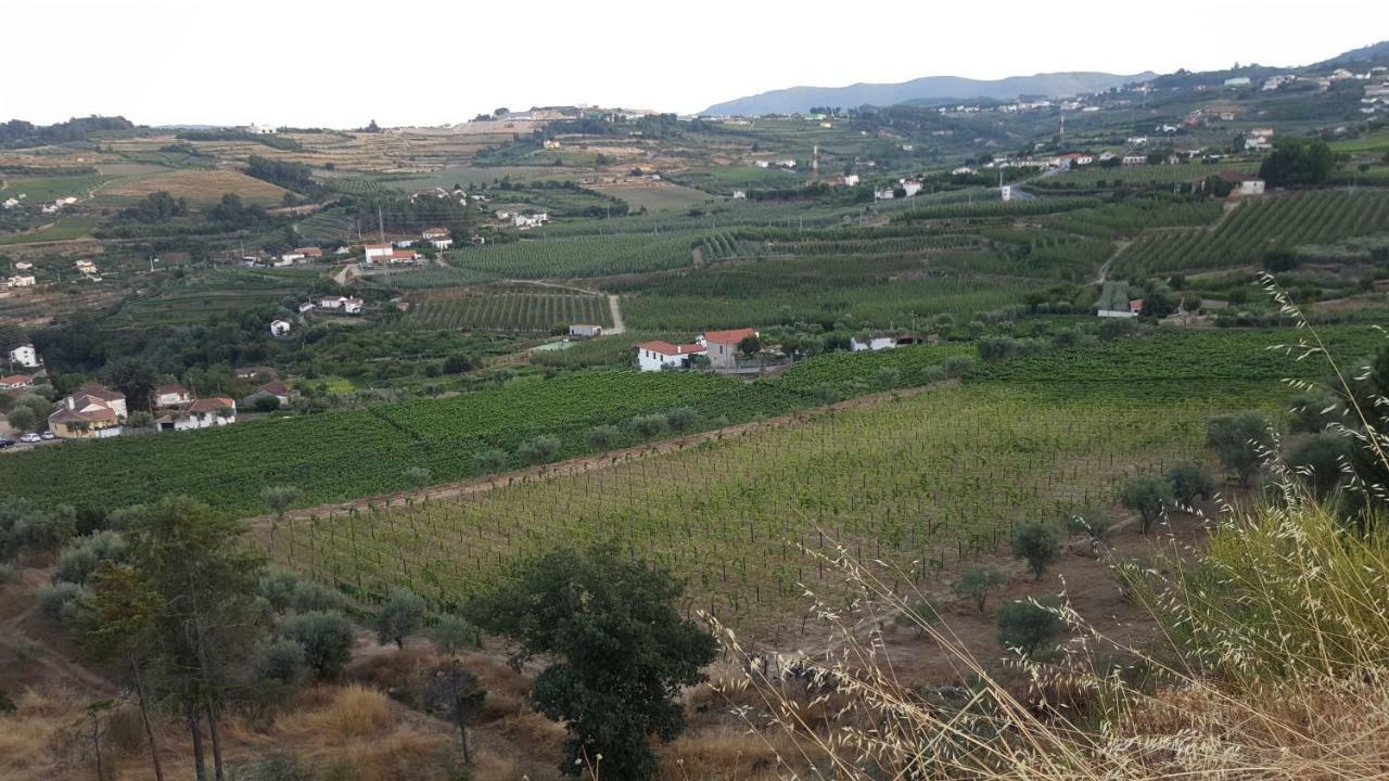 Quinta Do Acipreste  Lamego Esterno foto